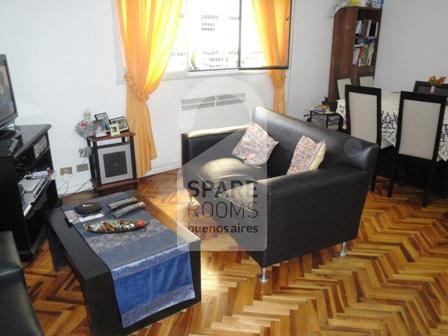 The living room at the apartment in Recoleta 