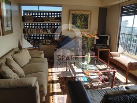 The living room at the apartment in Belgrano