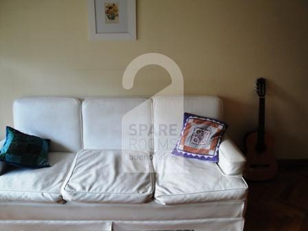 The living room at the apartment in Recoleta