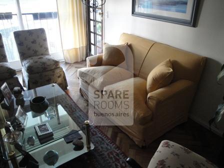 The living room at the apartment in Recoleta