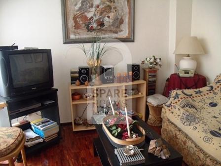 The living room at the apartment in Belgrano