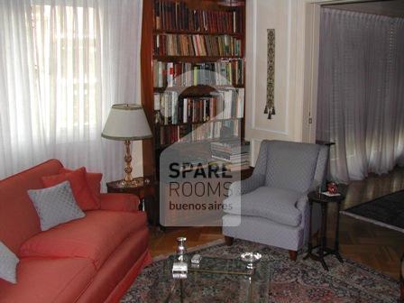 The living room in the apartment in Recoleta