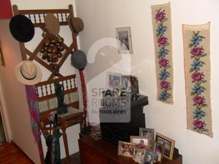 The living room at the apartment in Recoleta