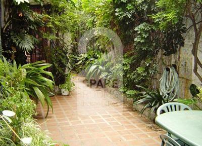 THE PATIO at the house in Palermo