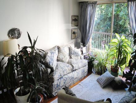 The cozy living room in the apartment