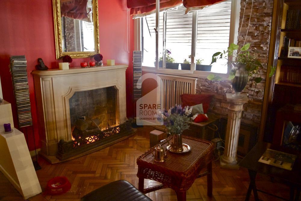 The living room at the apartment in Recoleta