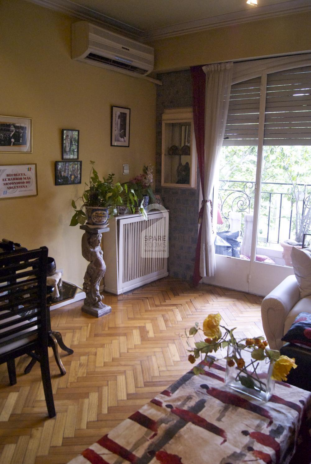 The living room at the apartment in Recoleta