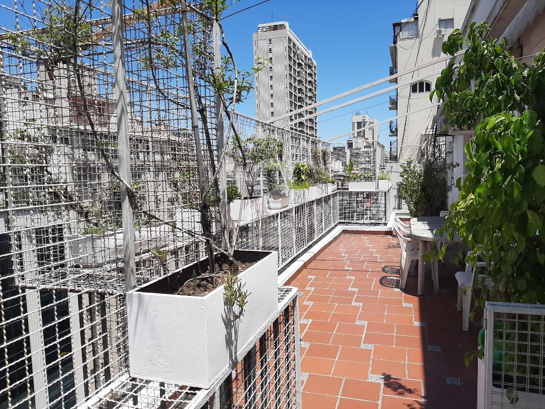 The terraced balcony